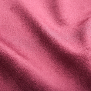 Plush Soft Velvet Claret