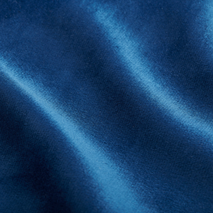  Soft Plush Velvet Blue